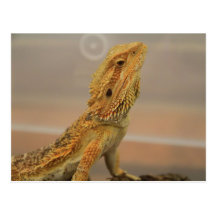 Sir Charles Posing Tarjeta Postal