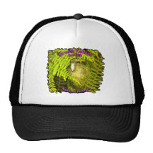 Siroco en los helechos gorros bordados