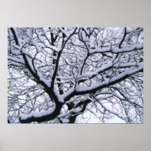 Sitiado por la nieve posters