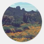 Situación del desierto pegatina