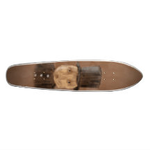 sk8 Chistera Patin