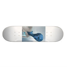 SKATE  URI