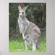 Skippy Poster