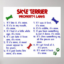 SKYE TERRIER PL2 POSTER