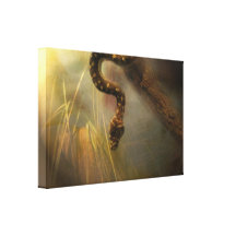 Slither Lienzo Envuelto Para Galerias