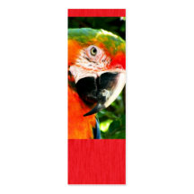 SM. Señal del rojo del Macaw del escarlata Tarjetas De Visita