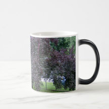 SmokeTree Tazas De Café