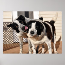Smooches Posters