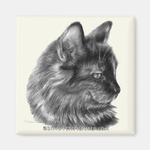 Smooschie, gato de pelo largo de la concha imanes para frigoríficos