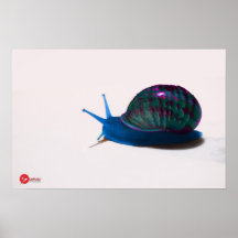 ~SNAIL~ POSTER