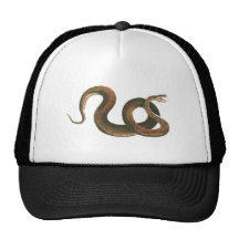 Snake Bone