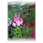 Snapdragon rosado tarjeta
