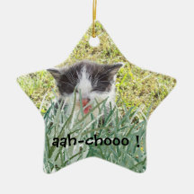 Sneezingr del gatito en la hierba adorno de reyes