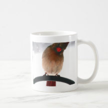 Snowbird Tazas