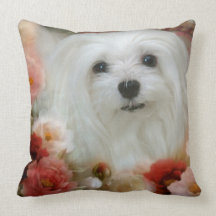 Snowdrop el amortiguador/la almohada malteses