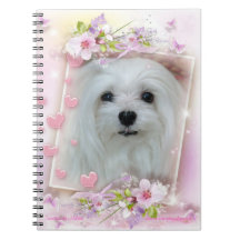 Snowdrop el cuaderno maltés