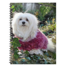 Snowdrop el cuaderno maltés