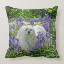 Snowdrop la almohada/el amortiguador malteses