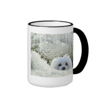 Snowdrop la taza maltesa