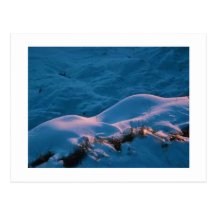 SNOWLIGHT POSTALES