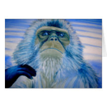 snowmonkey tarjetón