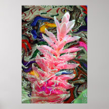 Snowplant Impresiones