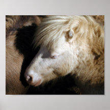 Snuggle del potro posters