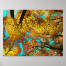 Sobre mi cabeza, posters del otoño, fotografía de 