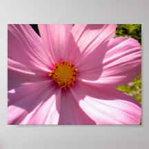 sobrecarga rosada poster