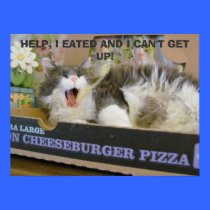 Sobredosis del cheeseburger del tocino posters