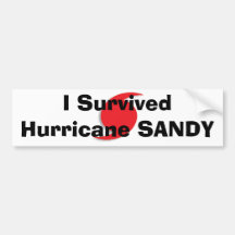 Sobreviví el bumpersticker de SANDY del huracán Etiqueta De Parachoque