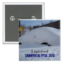 Sobreviví Snowpocalypse 2010 (el botón) Pins