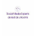 Social Media Experts as real as unicorns v2 Tee Shirt
