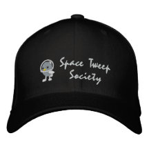 Sociedad Birdonaut de Tweep del espacio Gorros Bordados