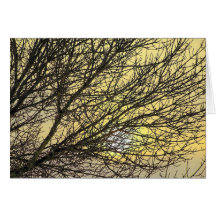 sol del invierno felicitación