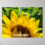 ¡SOL! el arte imprime las ilustraciones florales d Posters