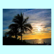Sol poniente posters