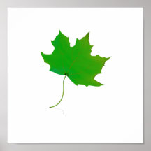 sola planta image.png de la hoja del verde del arc posters
