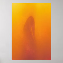 "Solamente (2012)" poster de acrílico v2