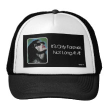 Solamente para siempre gorra del camionero