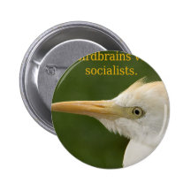 ¡Solamente voto de los Birdbrains para los sociali Pins