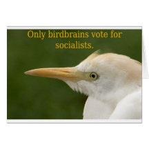 ¡Solamente voto de los Birdbrains para los sociali Tarjeton