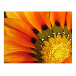 Solar Tarjeta Postal