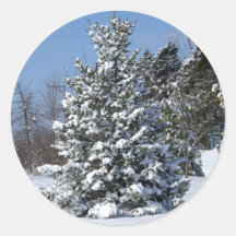 Solo árbol de hoja perenne de Snowladen Pegatina Redonda