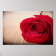 Solo color de rosa posters