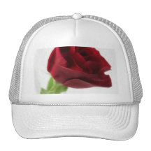 Solo rosa rojo en el vidrio 2 gorros  