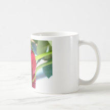 solo rosa rojo tazas