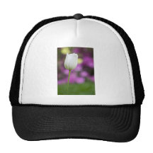 solo tulipán blanco gorro de camionero