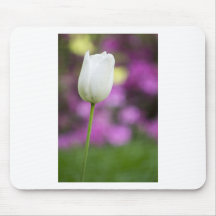solo tulipán blanco tapete de ratón