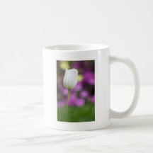 solo tulipán blanco tazas